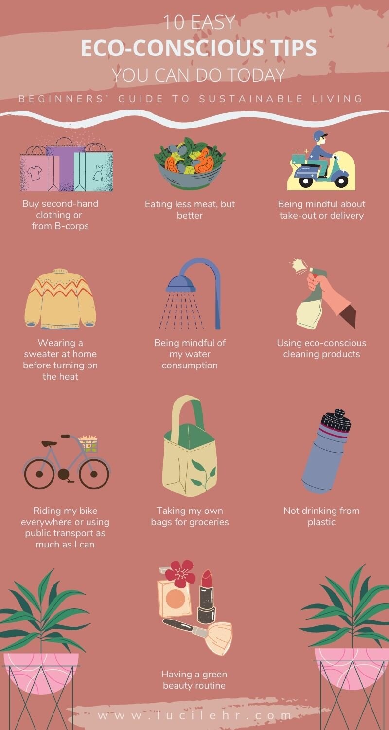 Beginners' Guide to Sustainable Living: 10 Easy Eco-Conscious Tips