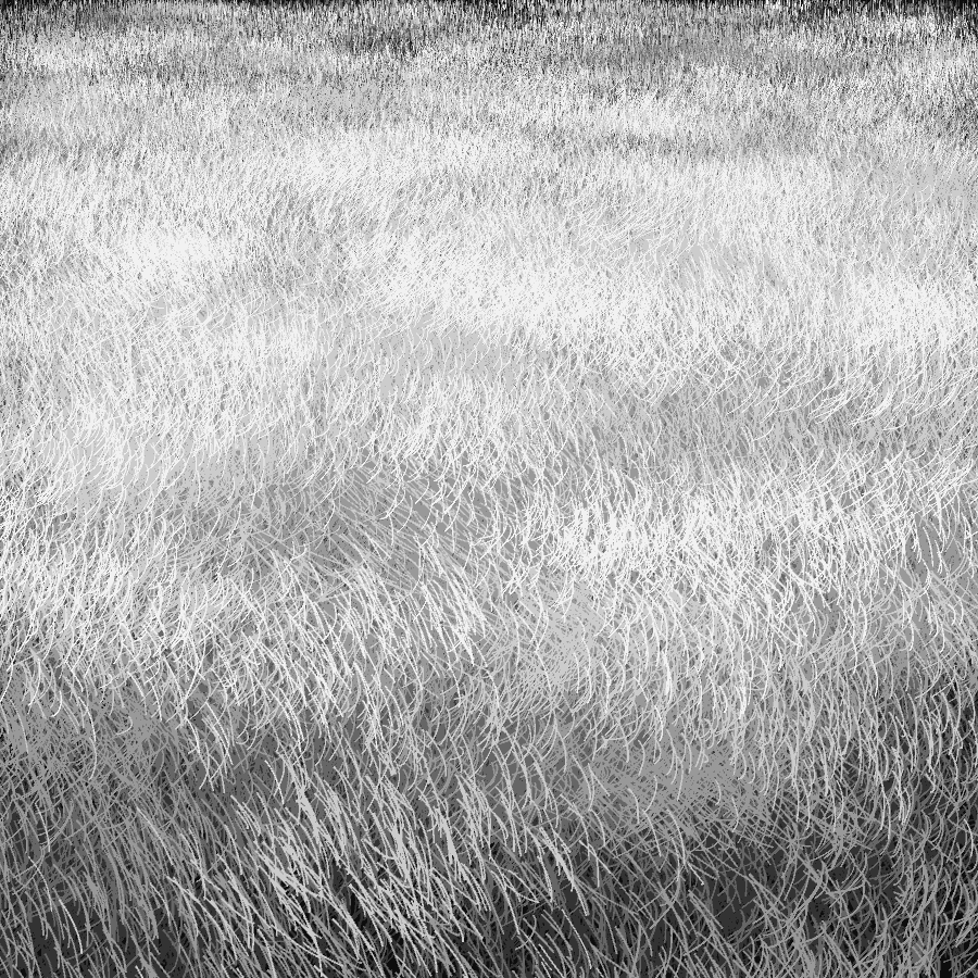 Tall Grass Pattern
