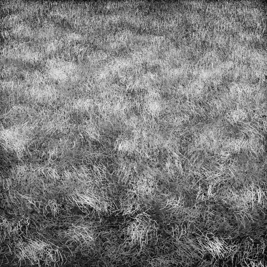 Texture Study Dormant Grass — Tyler Hobbs