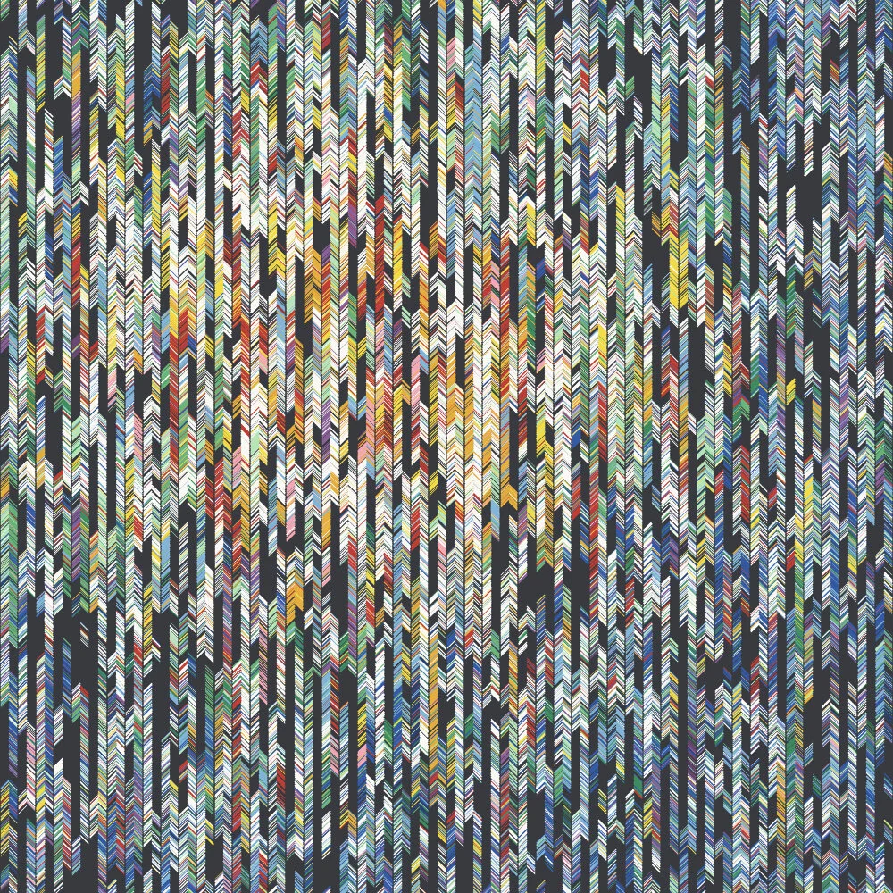 Fragments of Vision (D)