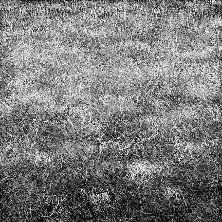 tyler-hobbs-dormant-grass-study-2014.jpg