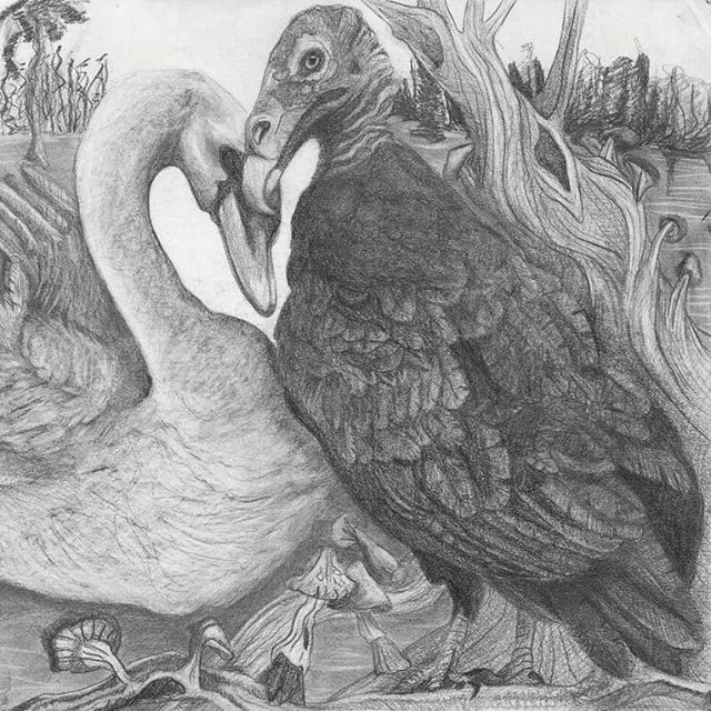 prints now available!
three sizes to pick from: postcard (10x13cm), actual size (30.5x40.6cm), or poster (76&times;101.6cm)
#serpentyl #lovers #magicrealism #graphite #drawing #swan #vulture #birds