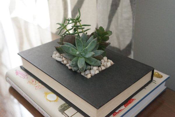 DIY Book Planter