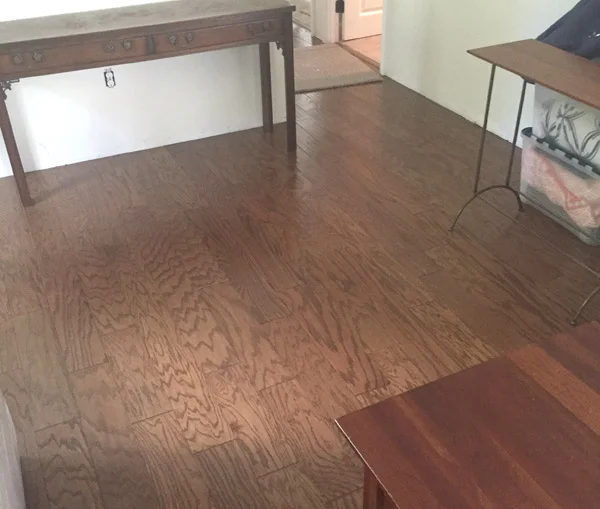 Dori the Flip House: week 13