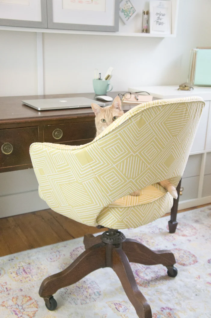 Franken-Chair Reveal