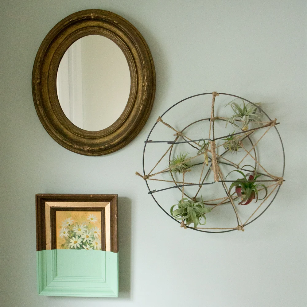 Swap: Dipped Art & Plants!