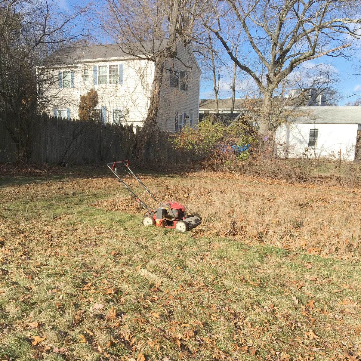 Shorty the Flip House: Week 2