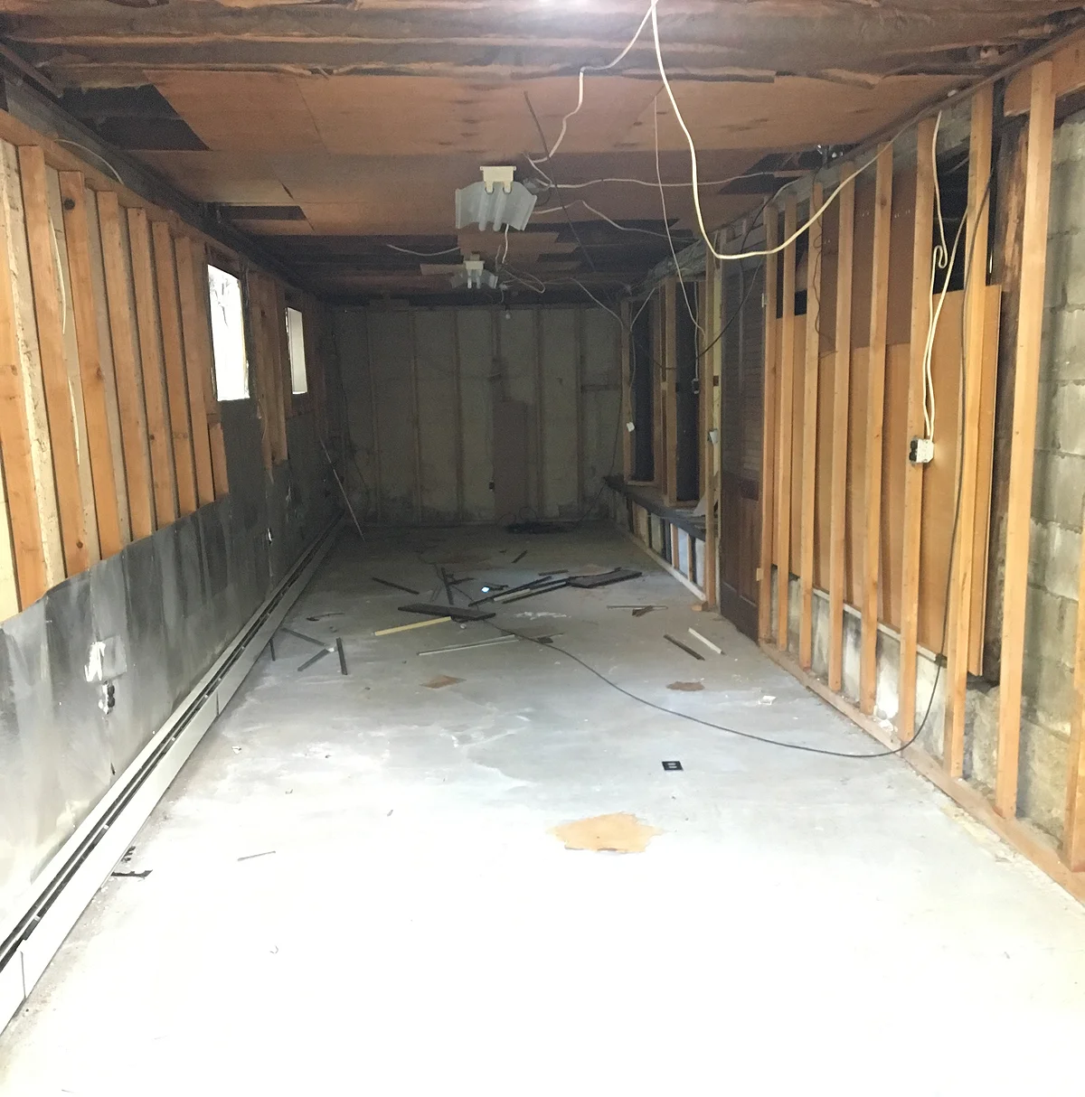 Nessie the Flip House: Week 2