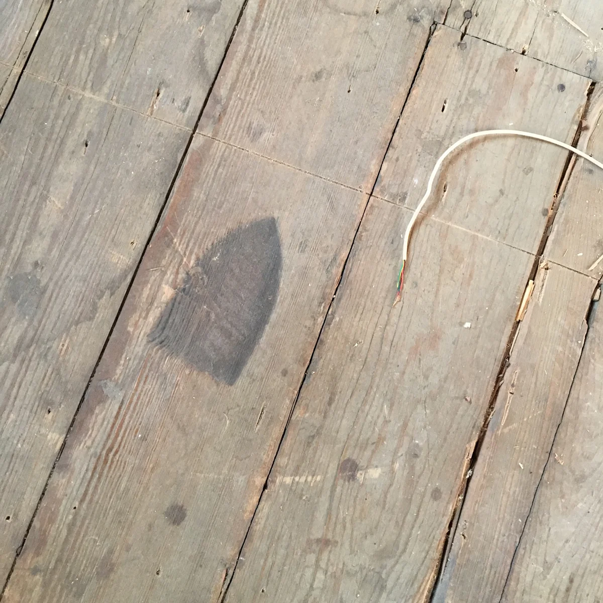 Nessie the Flip House: Week 3