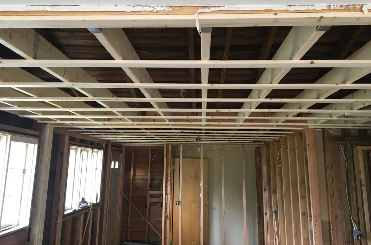 Nessie the Flip House: Week 8