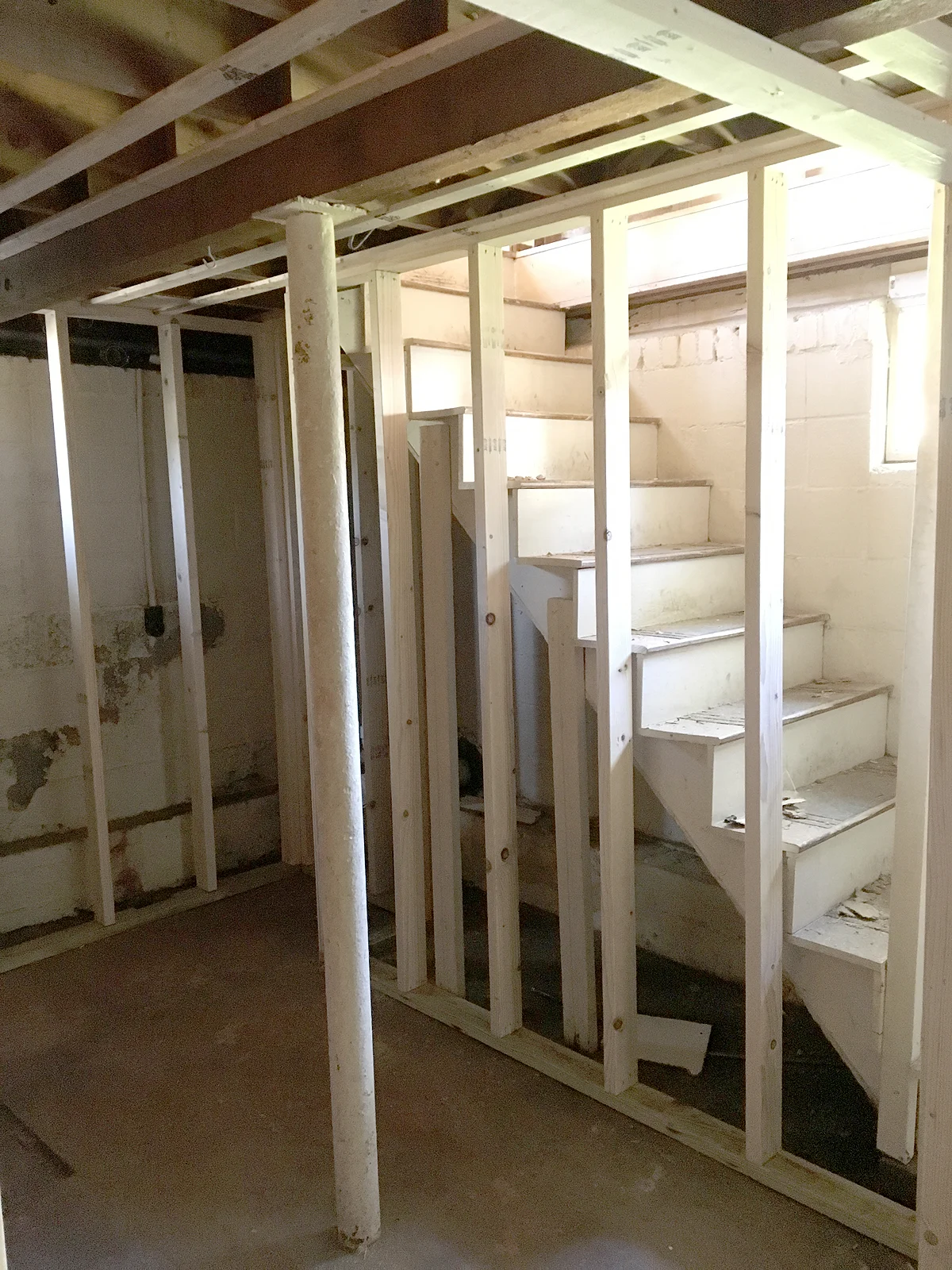 Nessie the Flip House: Week 9