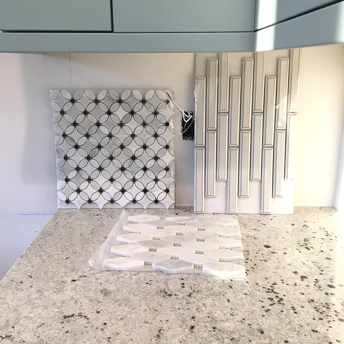 Nessie the Flip House: Week 20