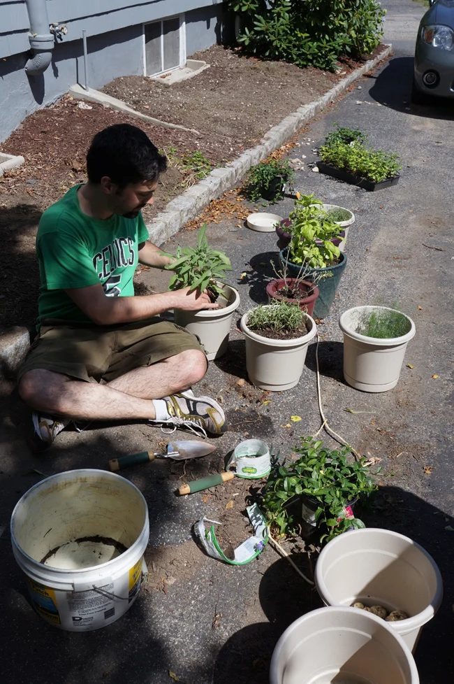 Another Weekend in the Garden