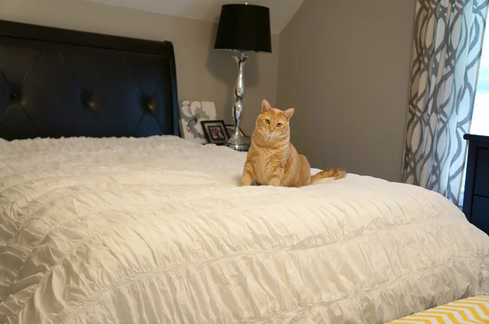 Styling Crash Course