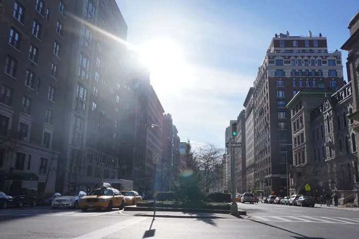 What I Did on my Winter Vacation