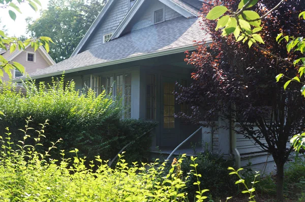 Meet Millie- Part One