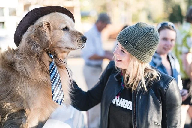 I met the Mayor of Idyllwild and it&rsquo;s fair to say he is the most goodest boy 😭🎩🐶 #mayormax #goodboy #ilovedoggos #weneedmoredogpoliticans 📸 @tombingphoto