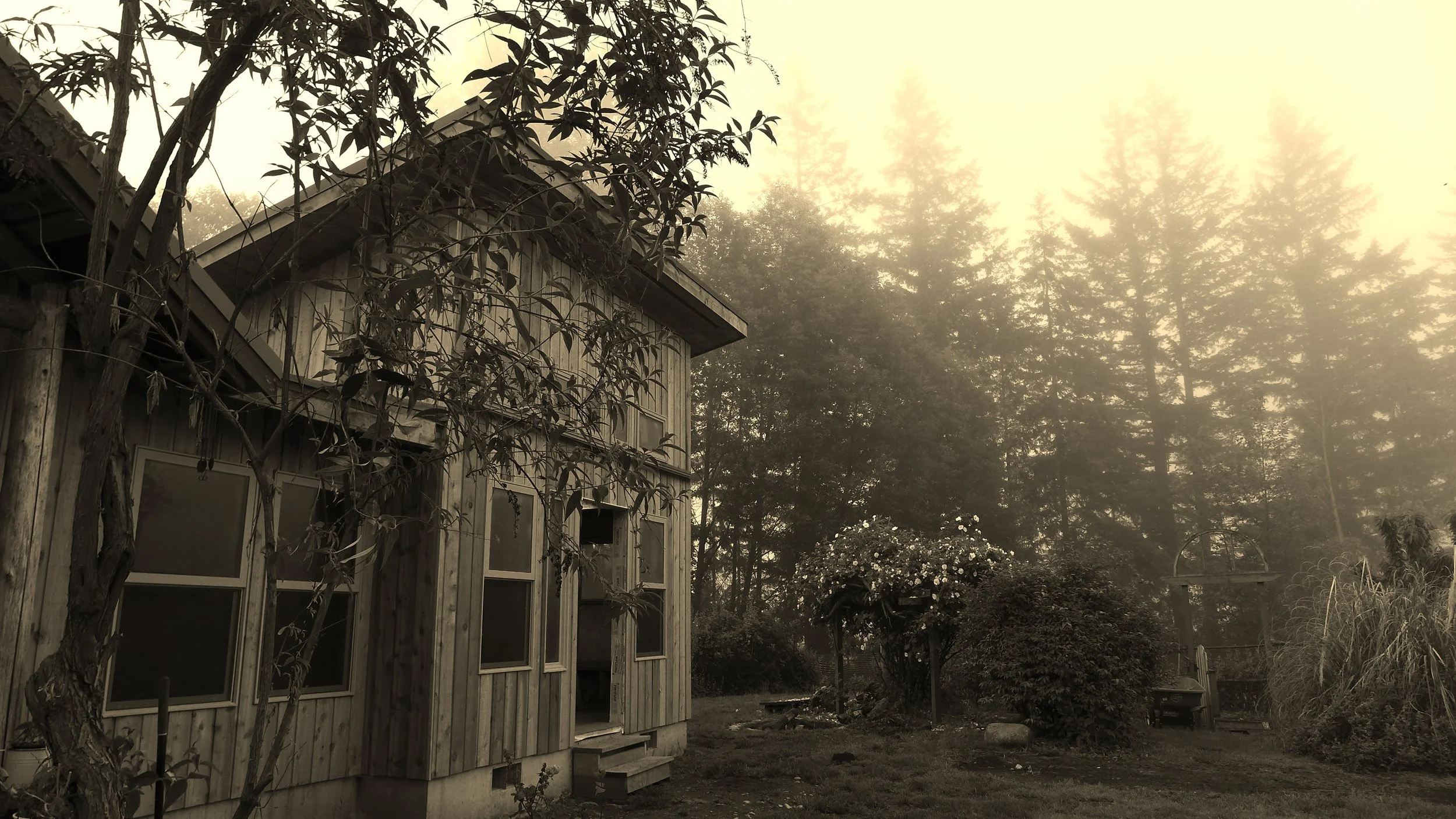  Photo Credit: Jeff Gaumer 