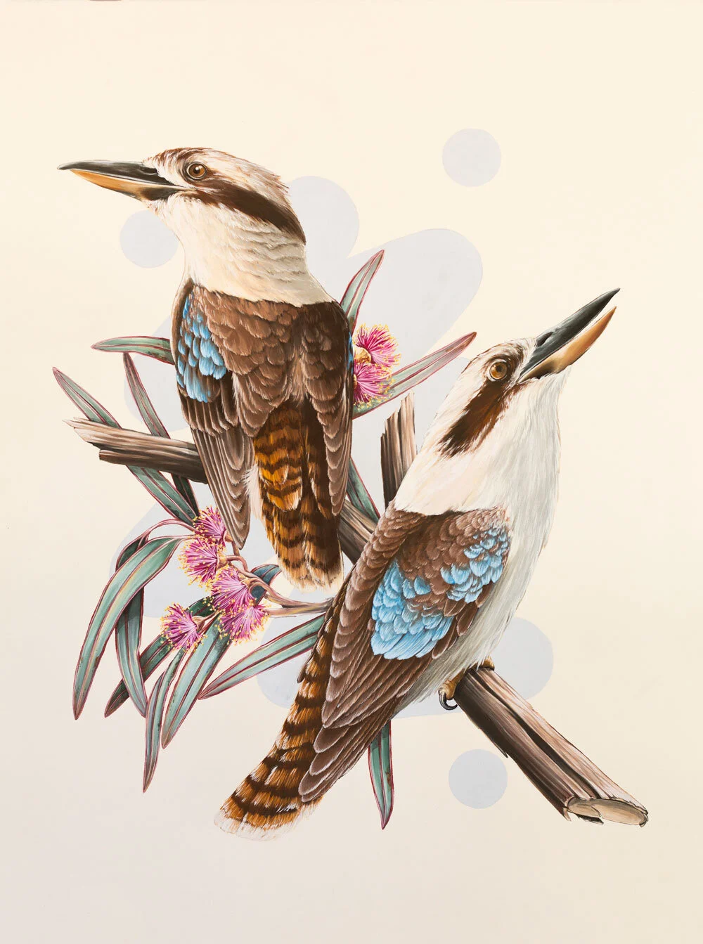 Laughing-Kookaburra-on-flowering-iorn-Bark_1000.jpg