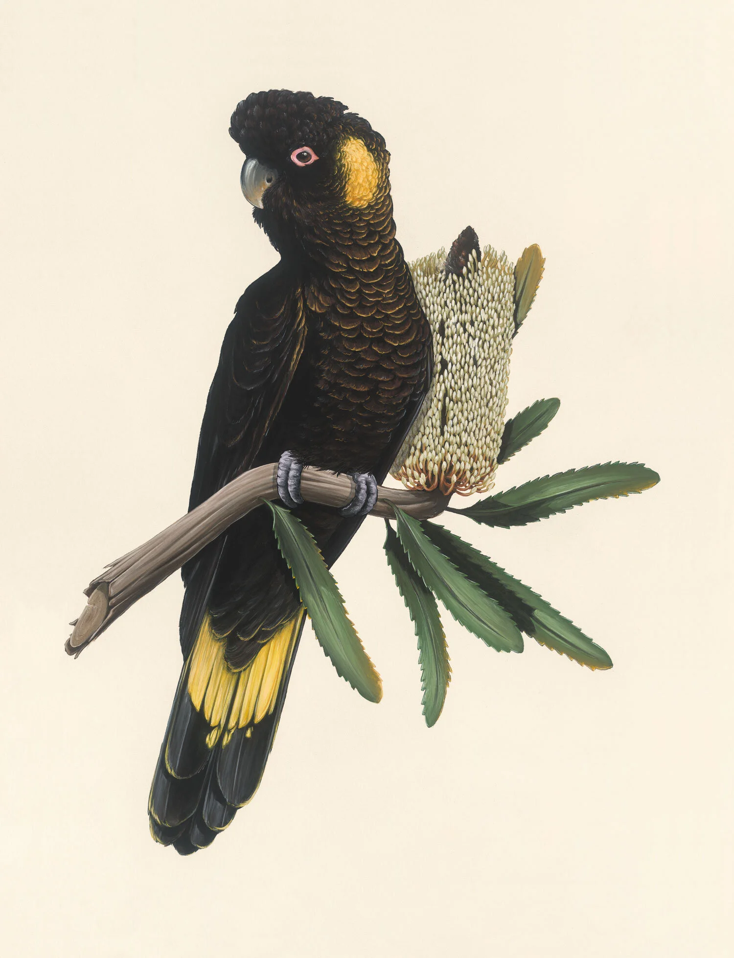 mh_commission_1500-1.jpg