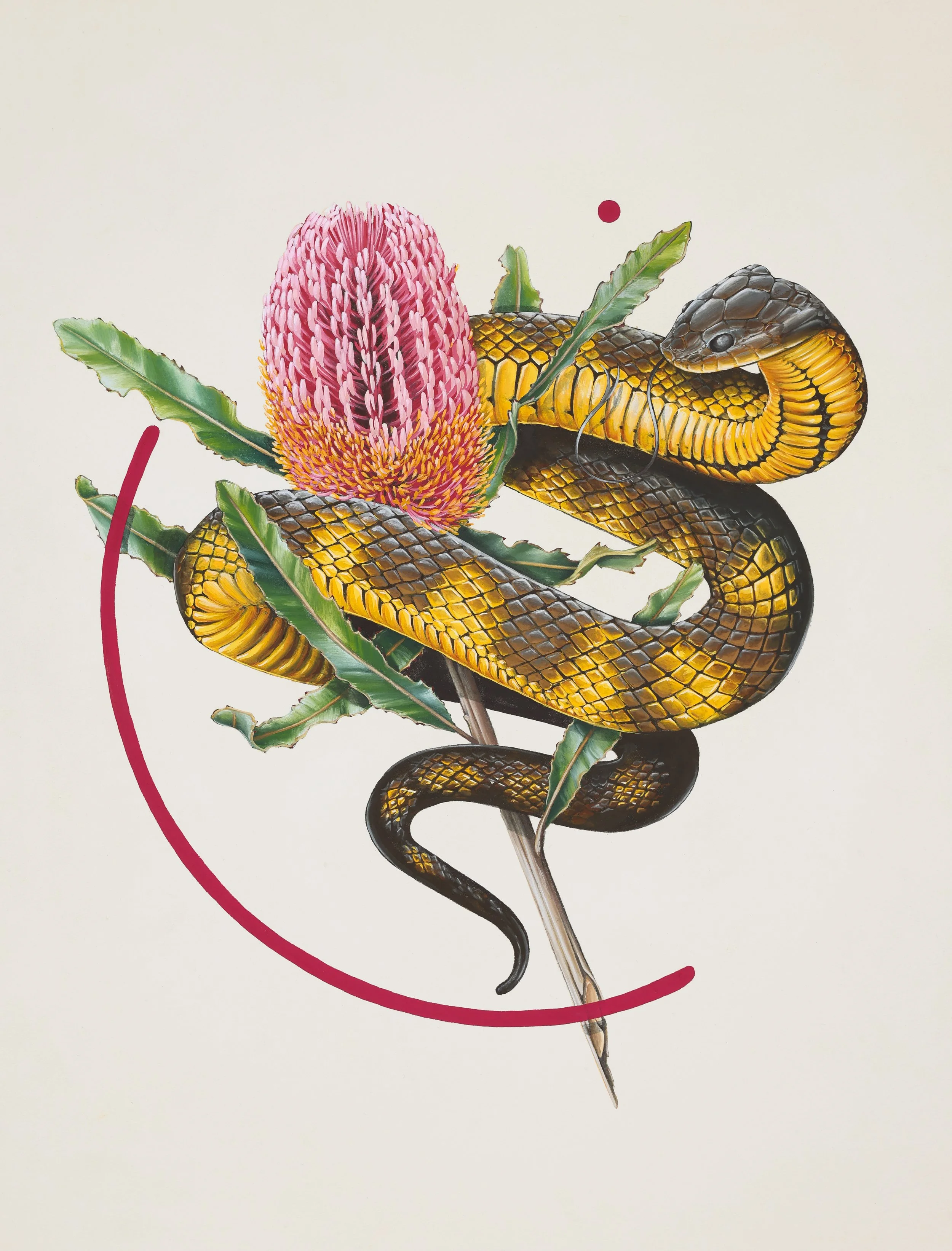 tiger-snake-banksia-r.jpg