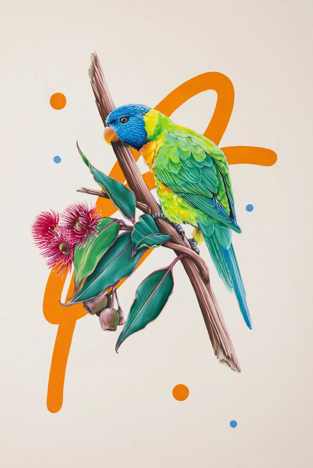 Rainbow-Lorrikeet_1000.jpg