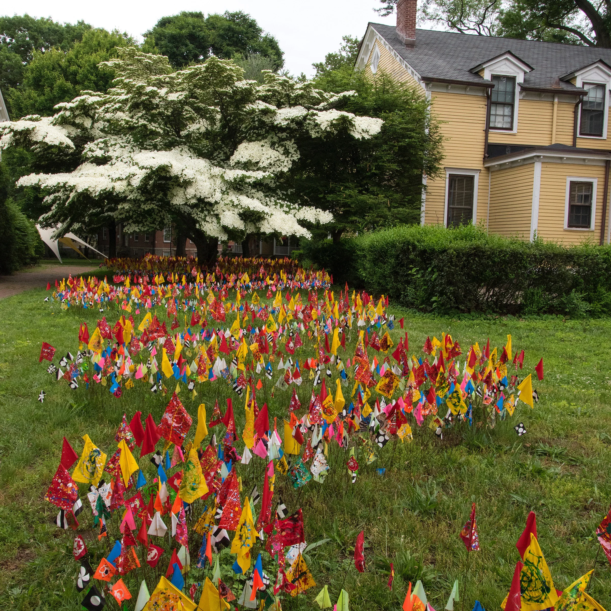 Locating detail Gov Island.jpg