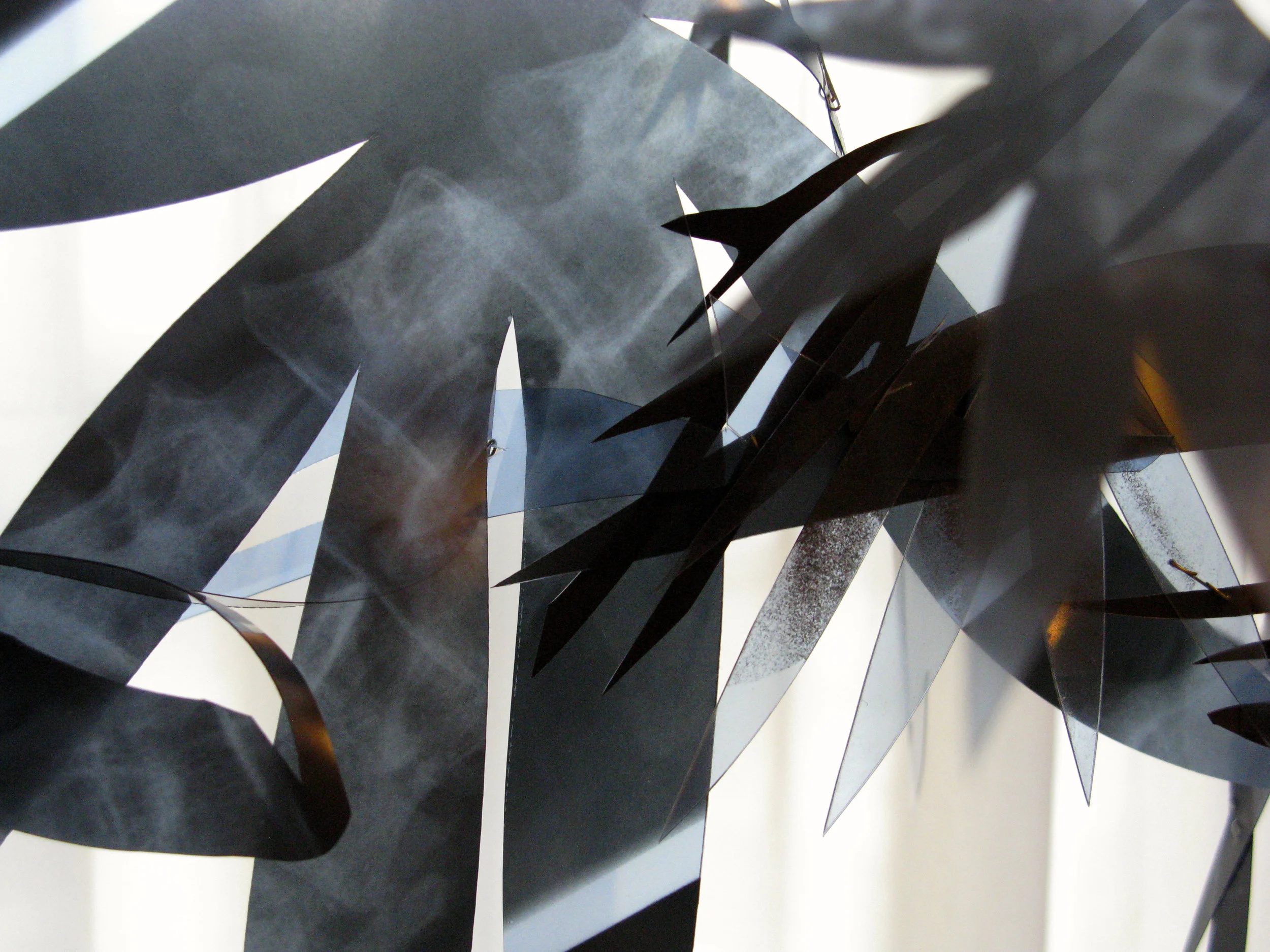 emergence detail.jpg