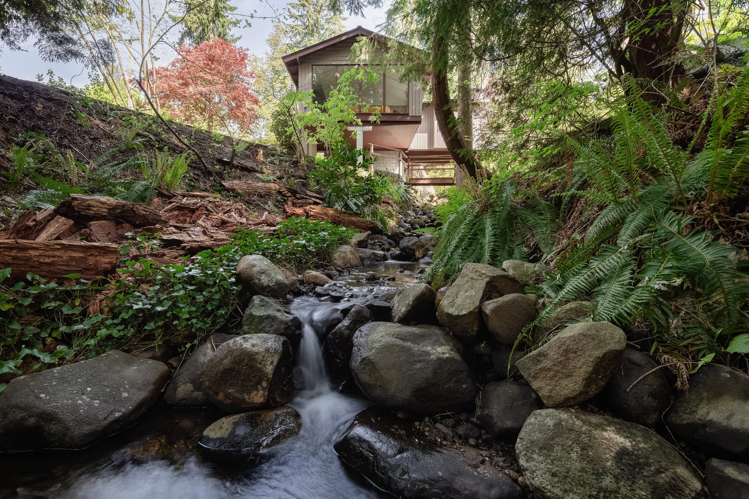 Photo 2024-05-03, 11 38 45 AM.jpg