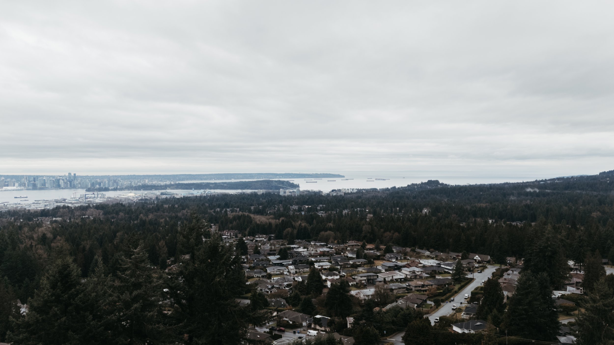 DJI_20260129145625_0015_D copy.jpg