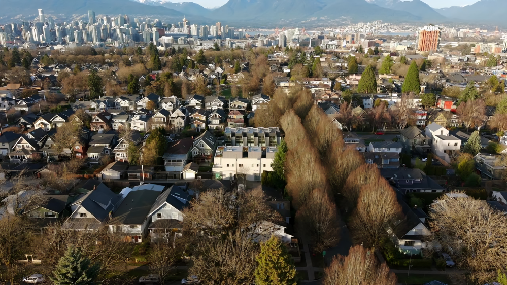 Screenshot 2026-02-19 131712.png