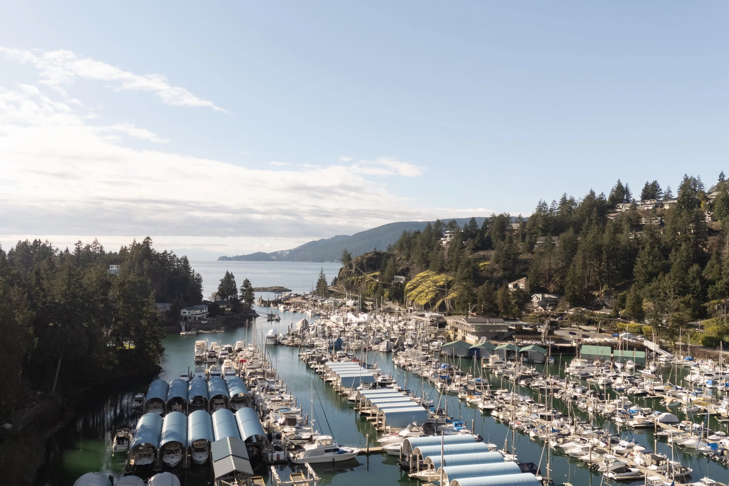 DJI_20260219134821_0100_D copy.jpg