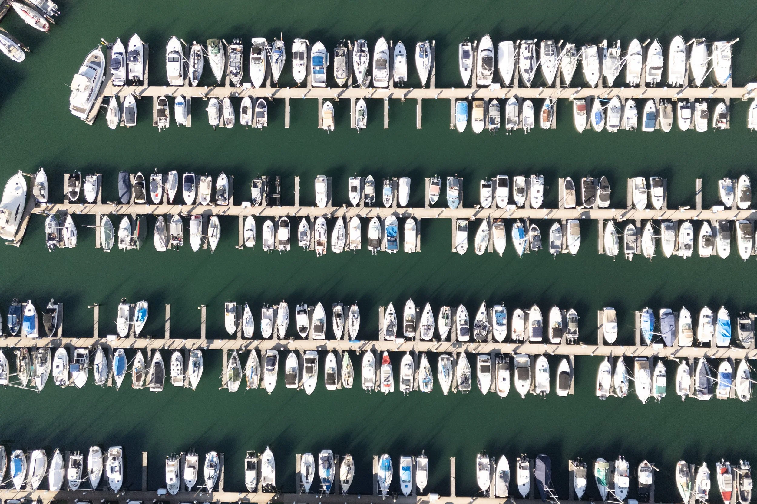 DJI_20260219135537_0115_D copy.jpg