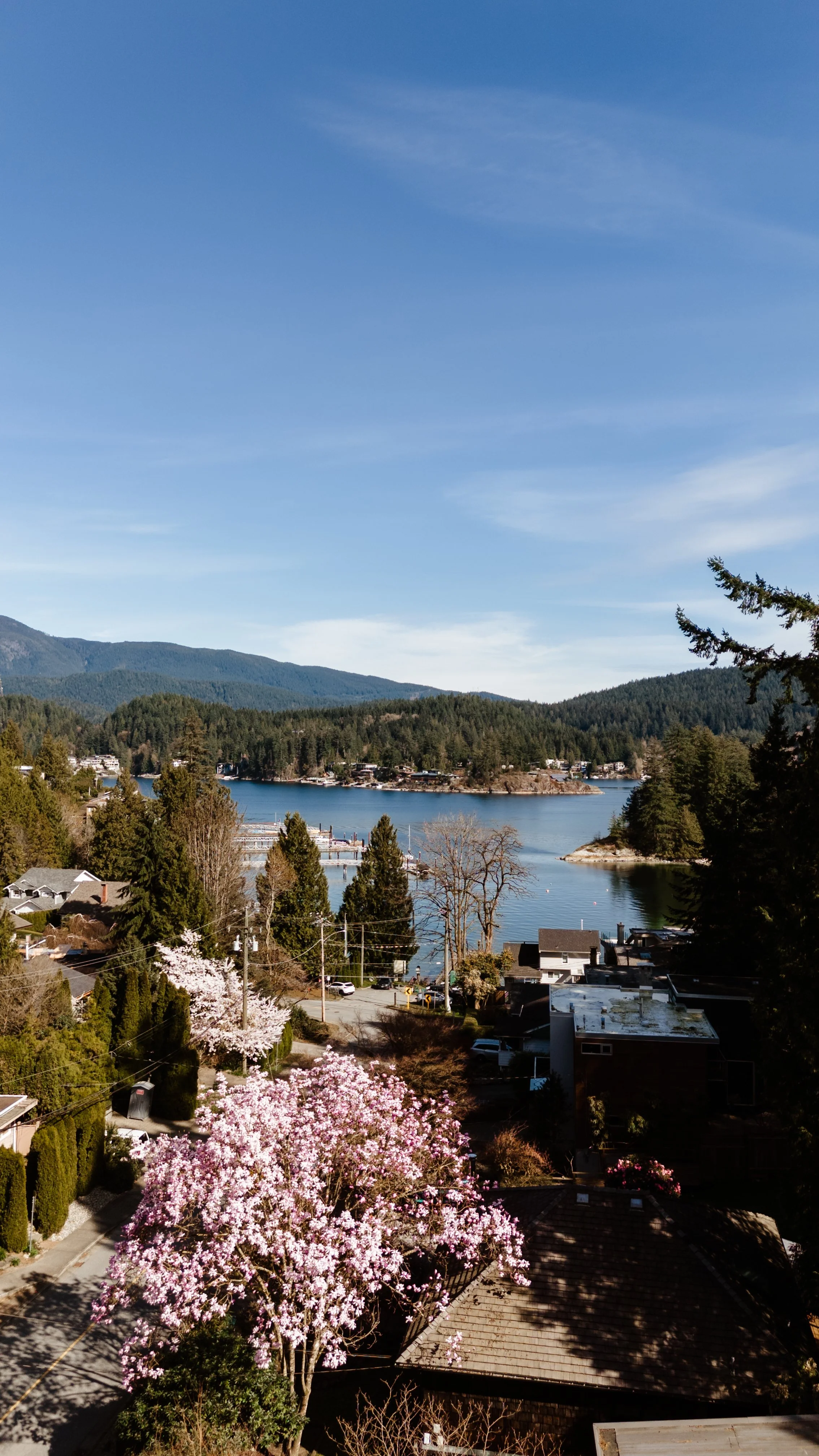 DJI_20260331154025_0351_D copy.jpg