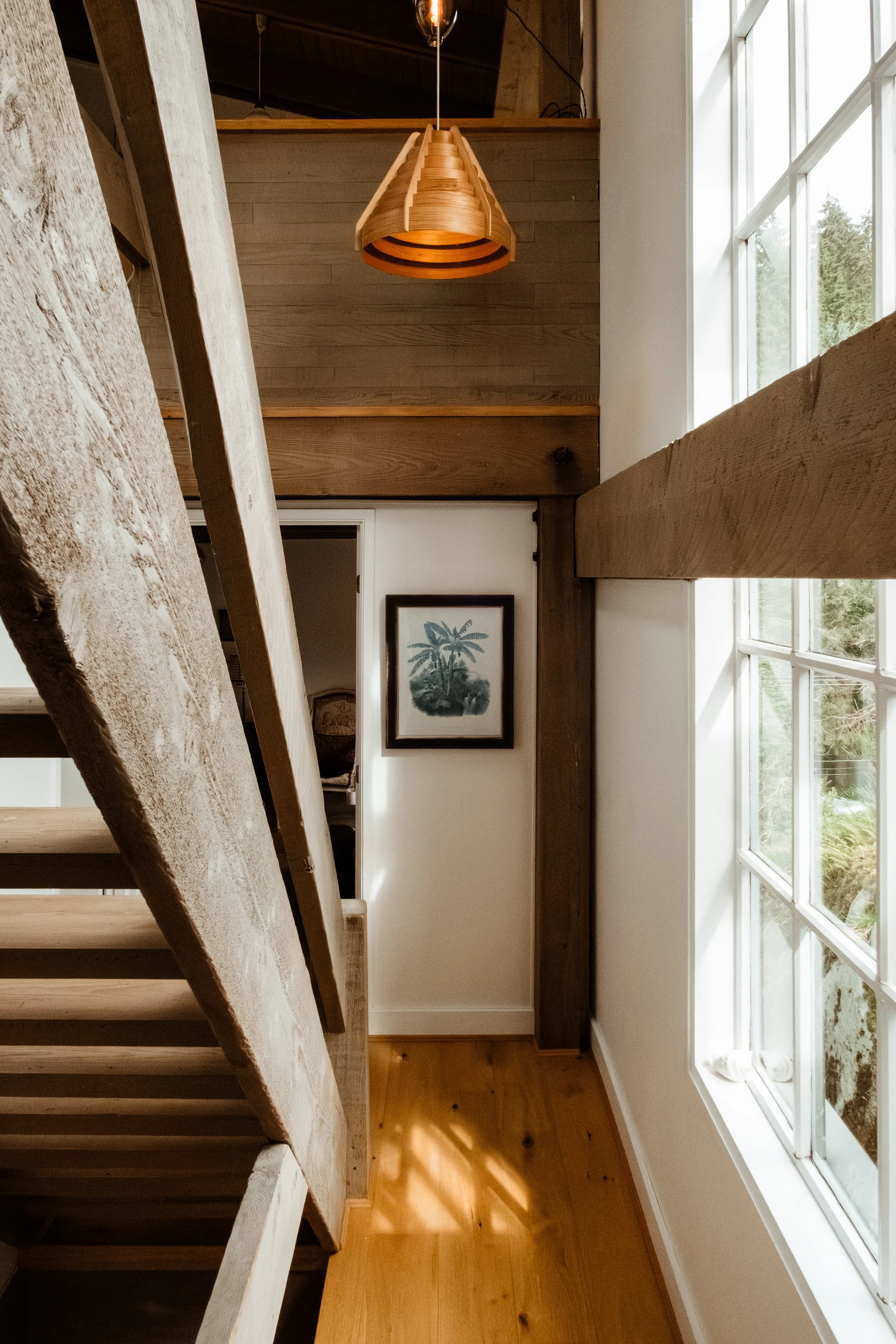 P1110420-Enhanced-NR copy.jpg