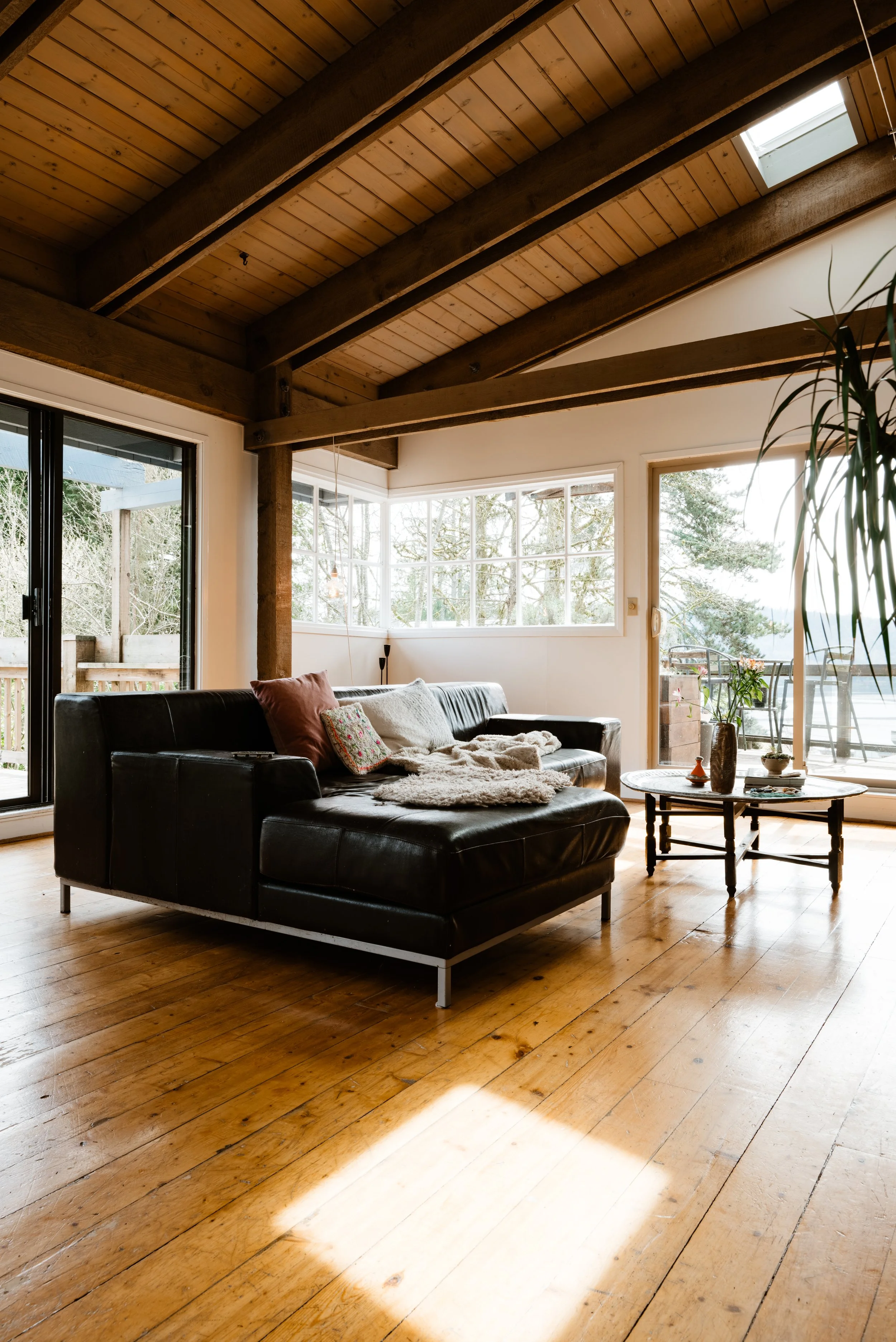 P1237092-HDR copy.jpg