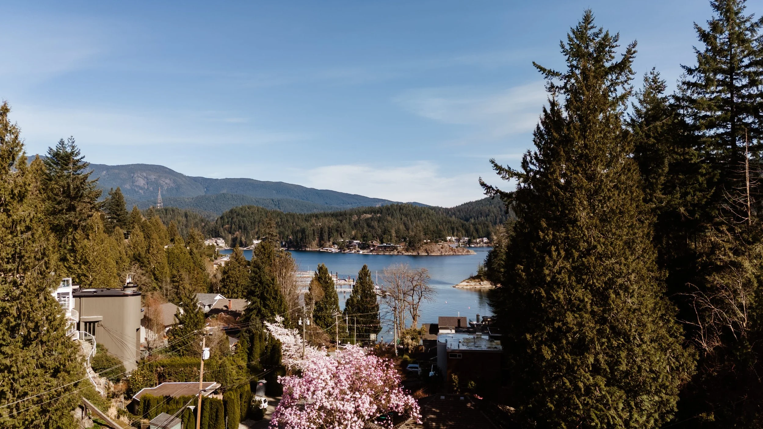 DJI_20260331154042_0352_D copy.jpg