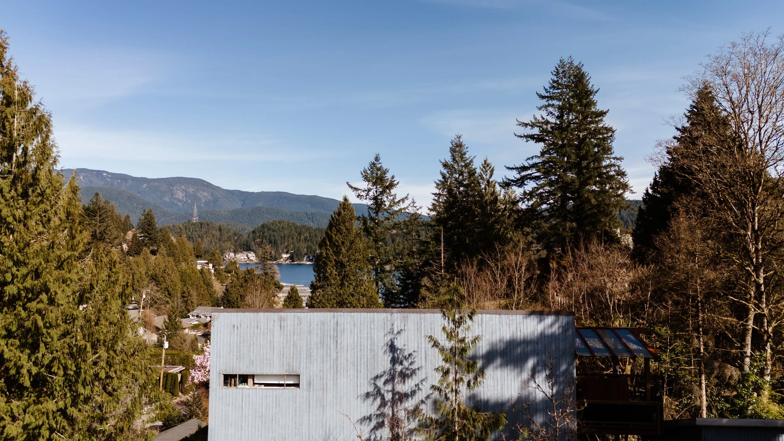 DJI_20260331154221_0358_D copy.jpg