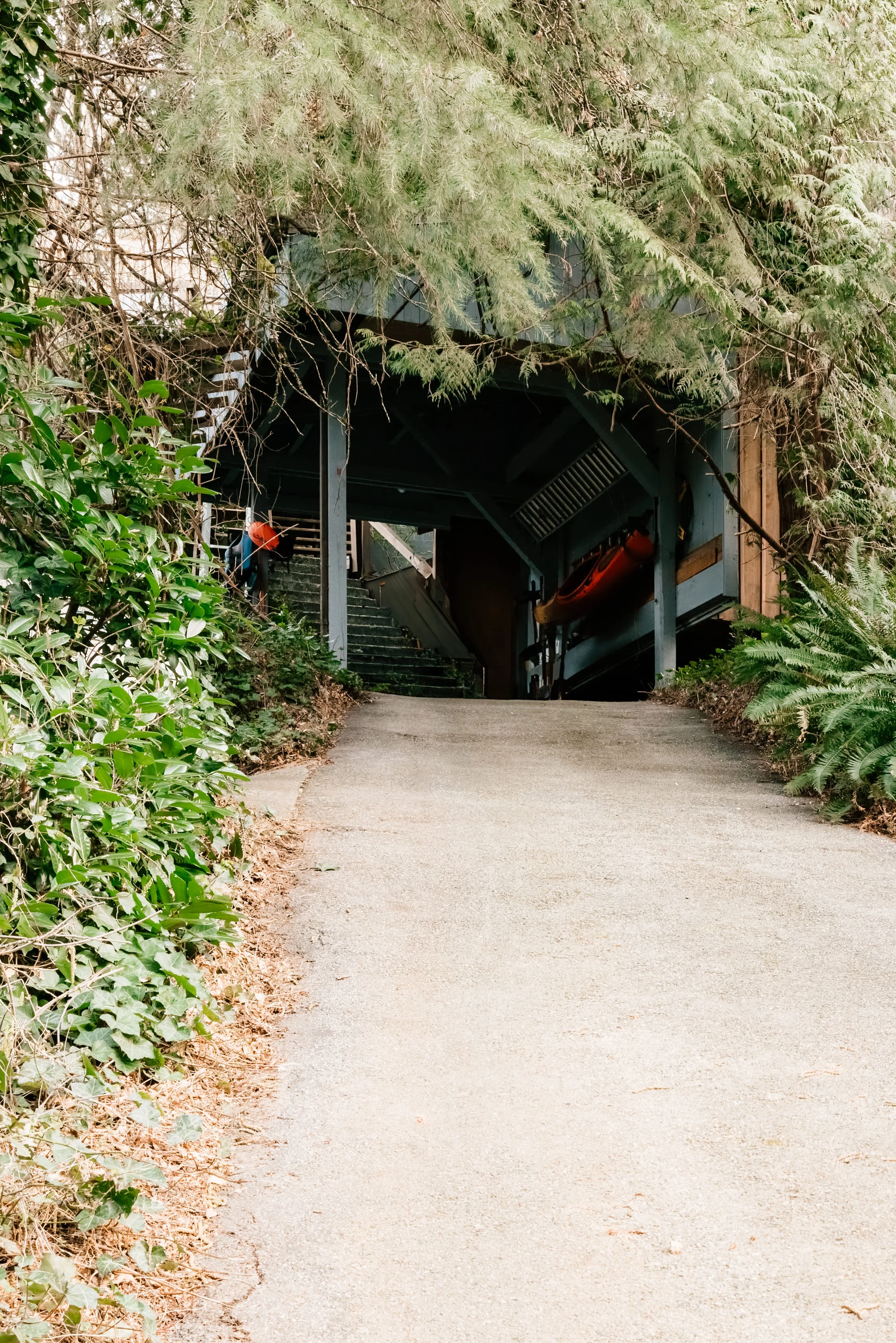 P1247765-HDR-Enhanced-NR copy.jpg