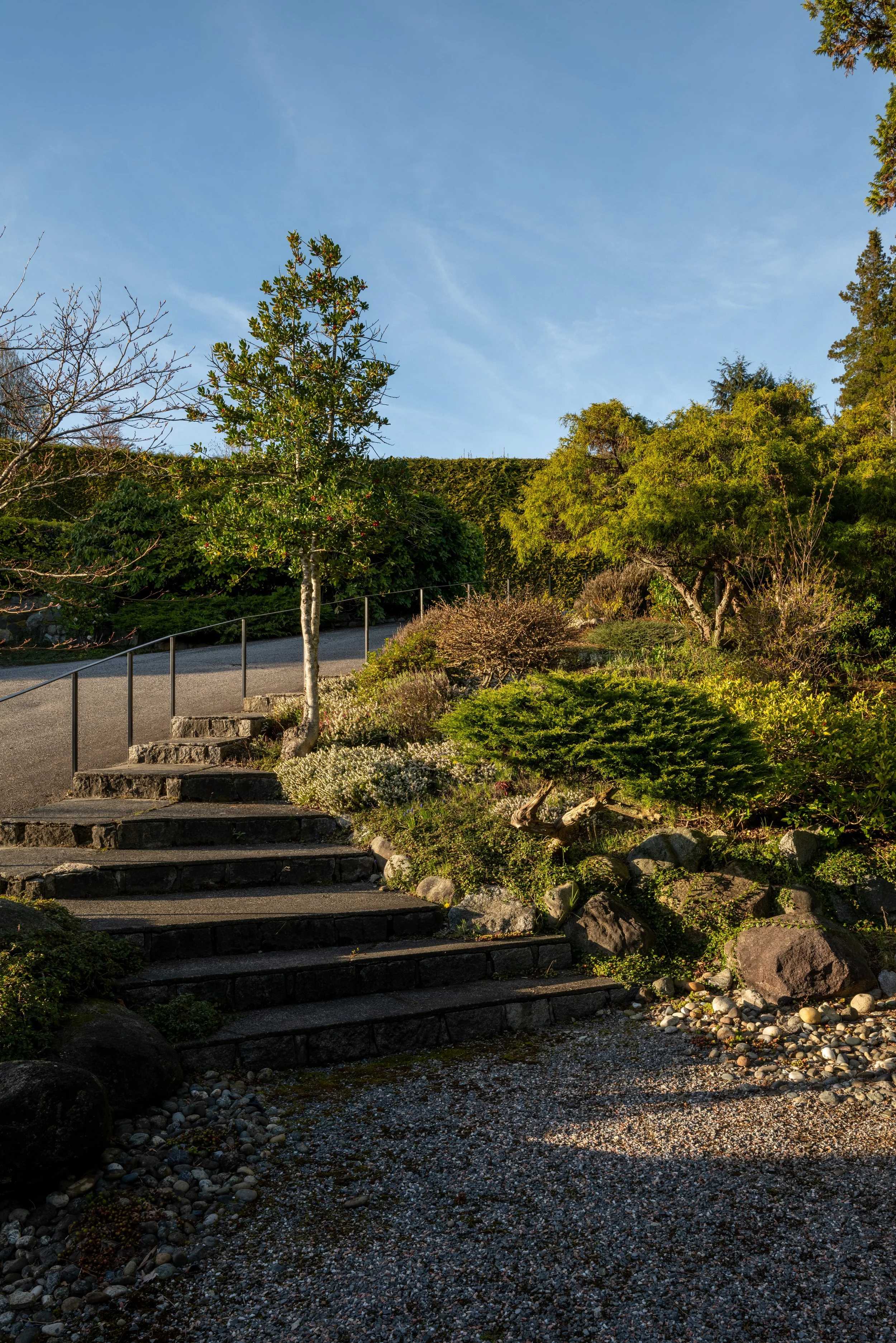 P1248715-HDR copy.jpg