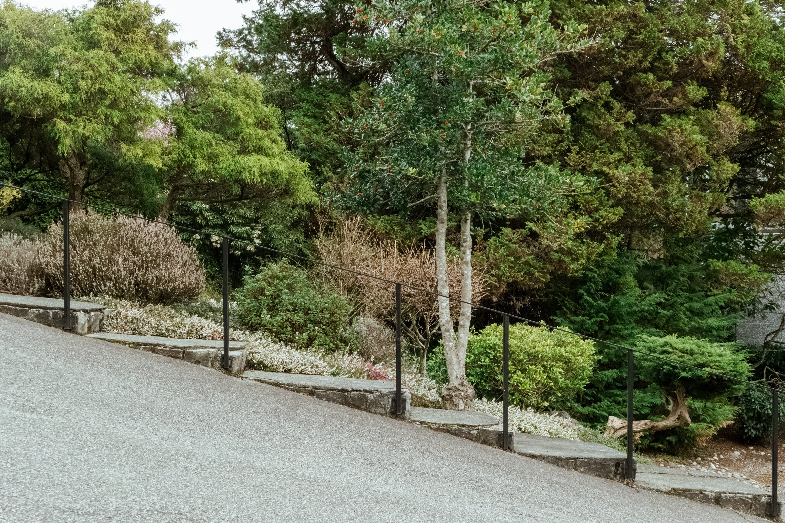 P1110344-Enhanced-NR copy.jpg