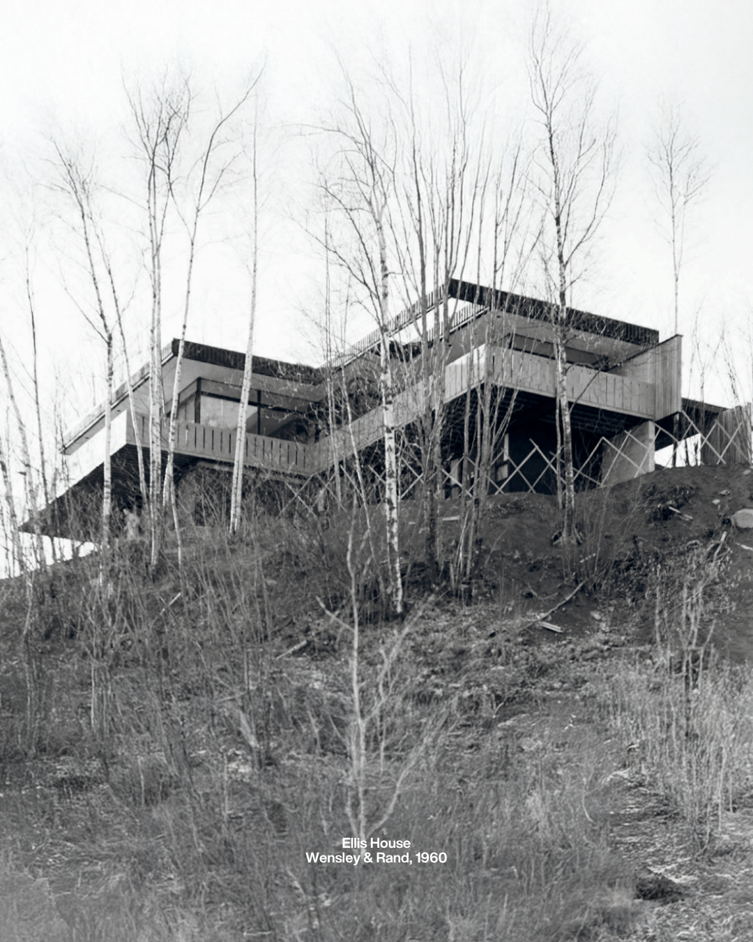 Architect Profile Wensley & Rand Architects (IG Post) (1).png