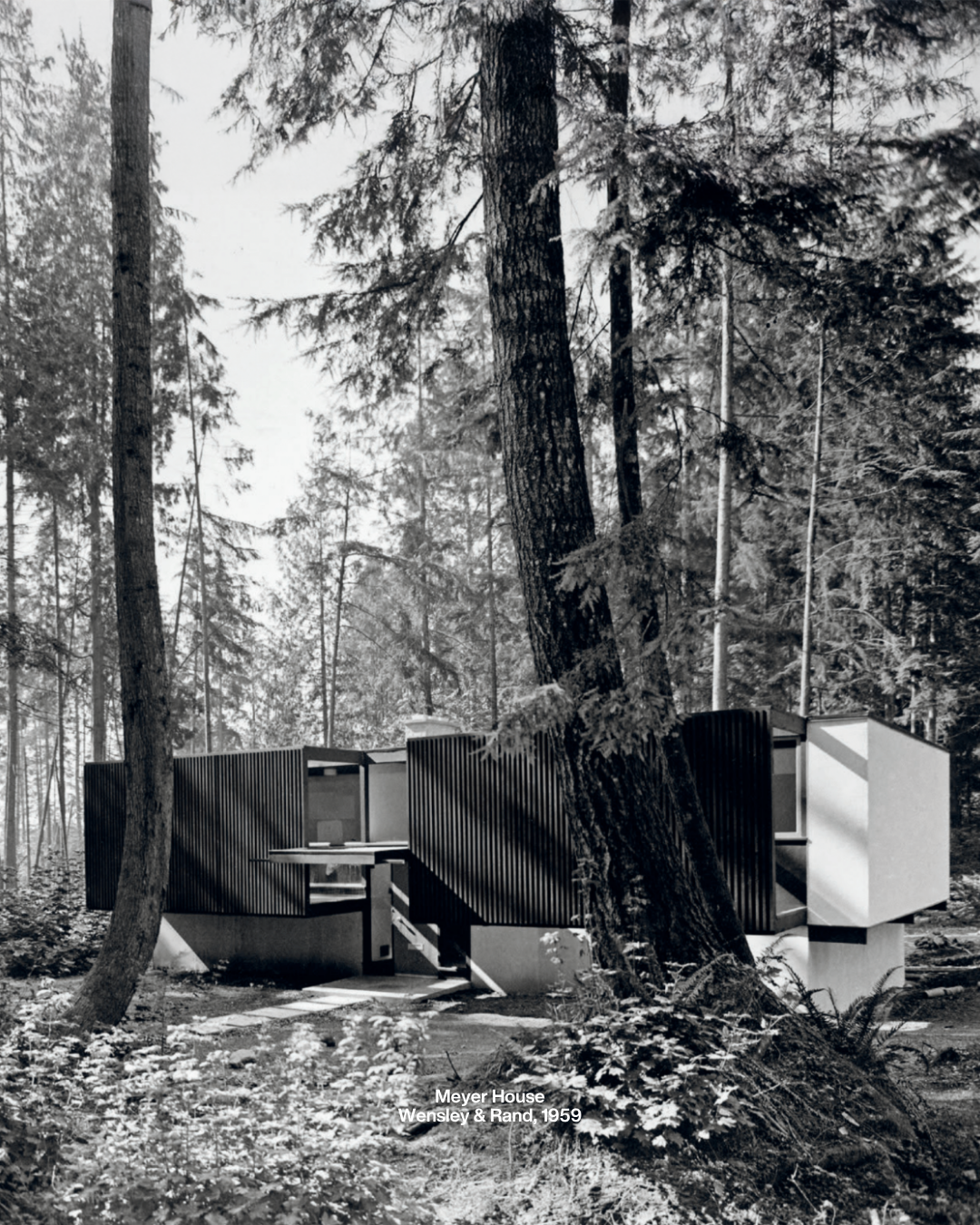 Architect Profile Wensley & Rand Architects (IG Post) (3).png