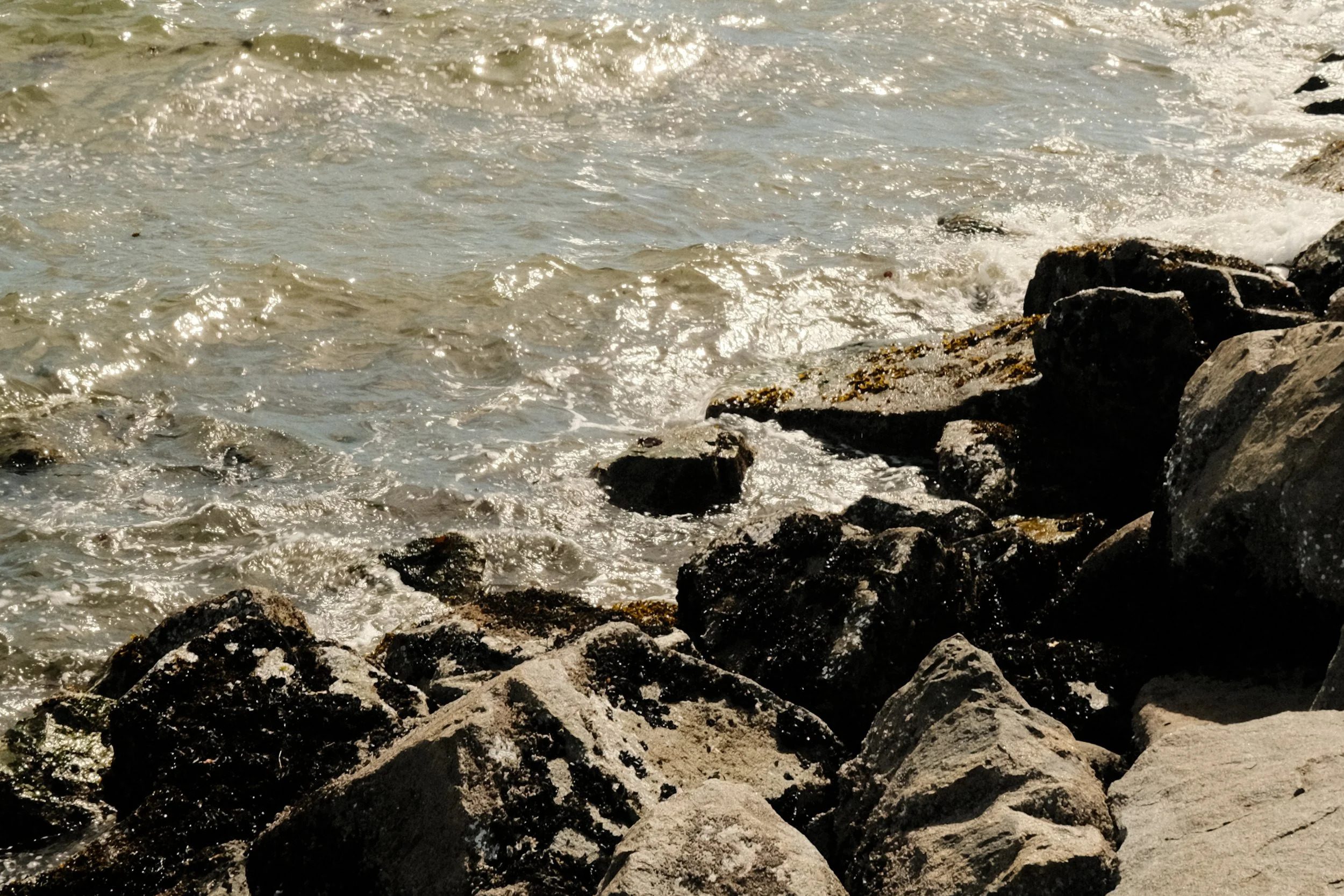 DSCF7905.jpg