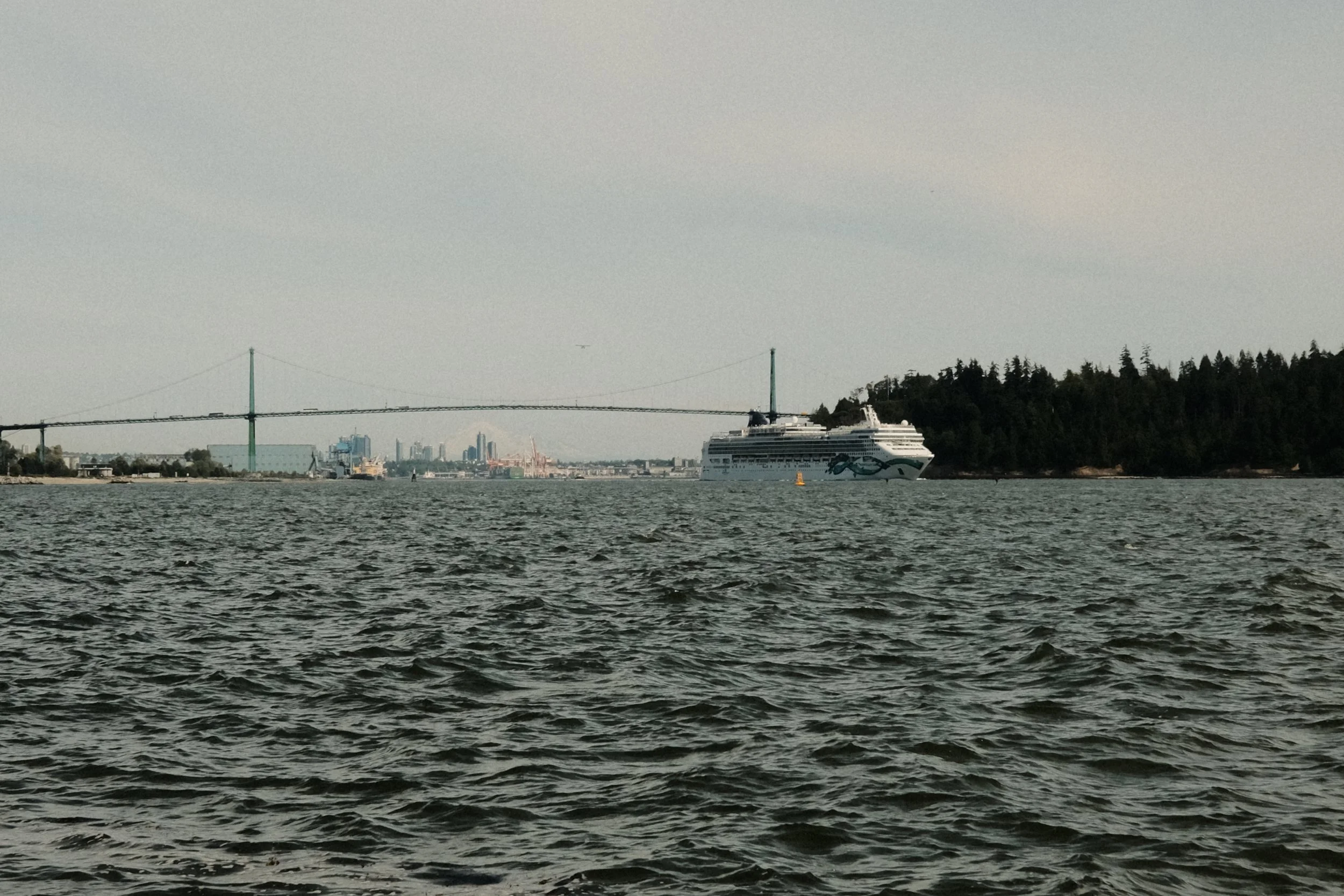 DSCF7921.jpg
