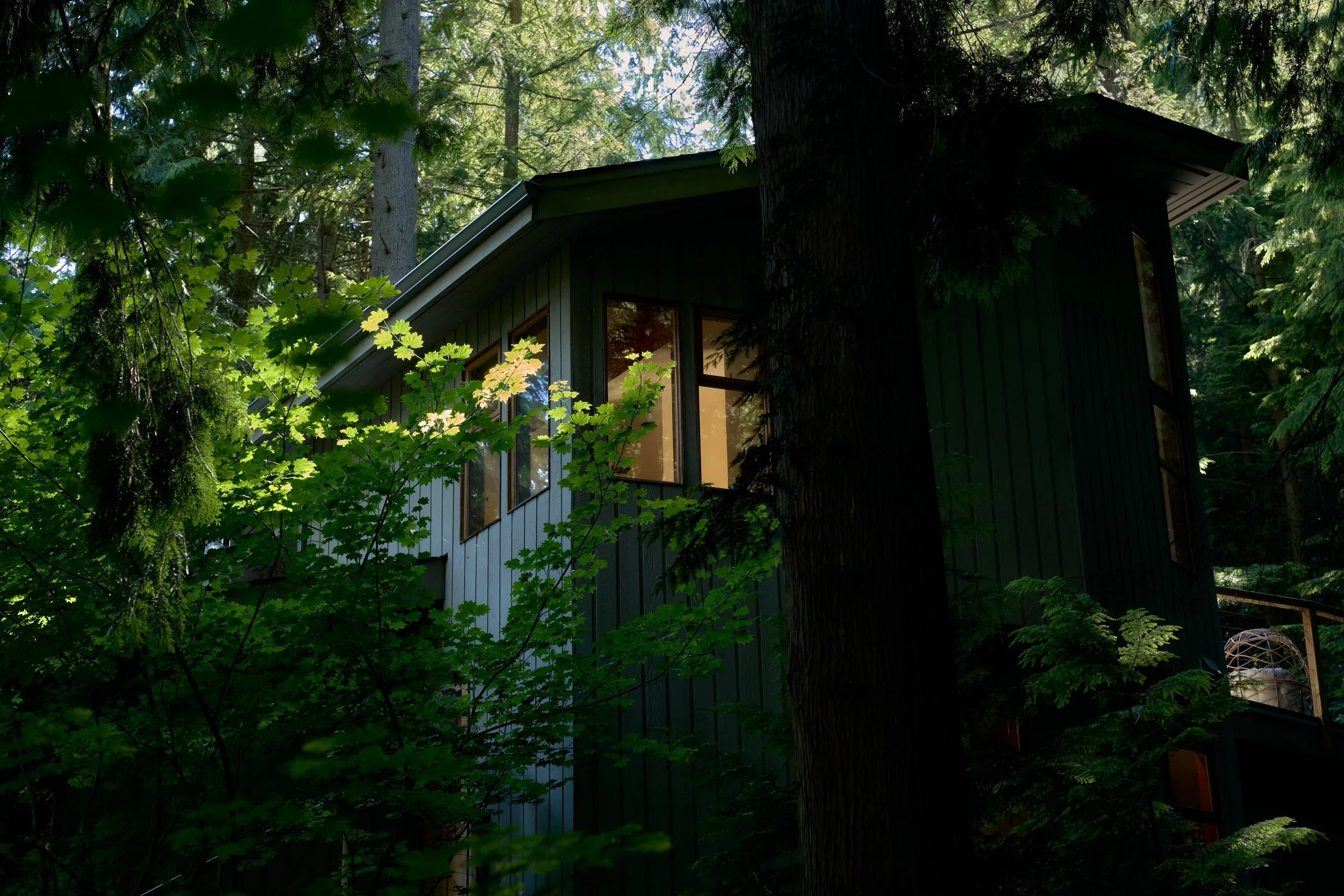 HiddenHouse8763 - Copy.jpg