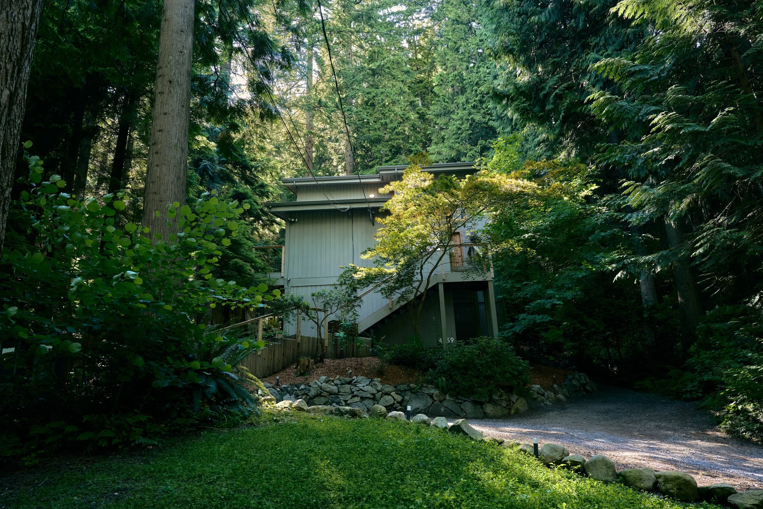 HiddenHouse8798 - Copy.jpg