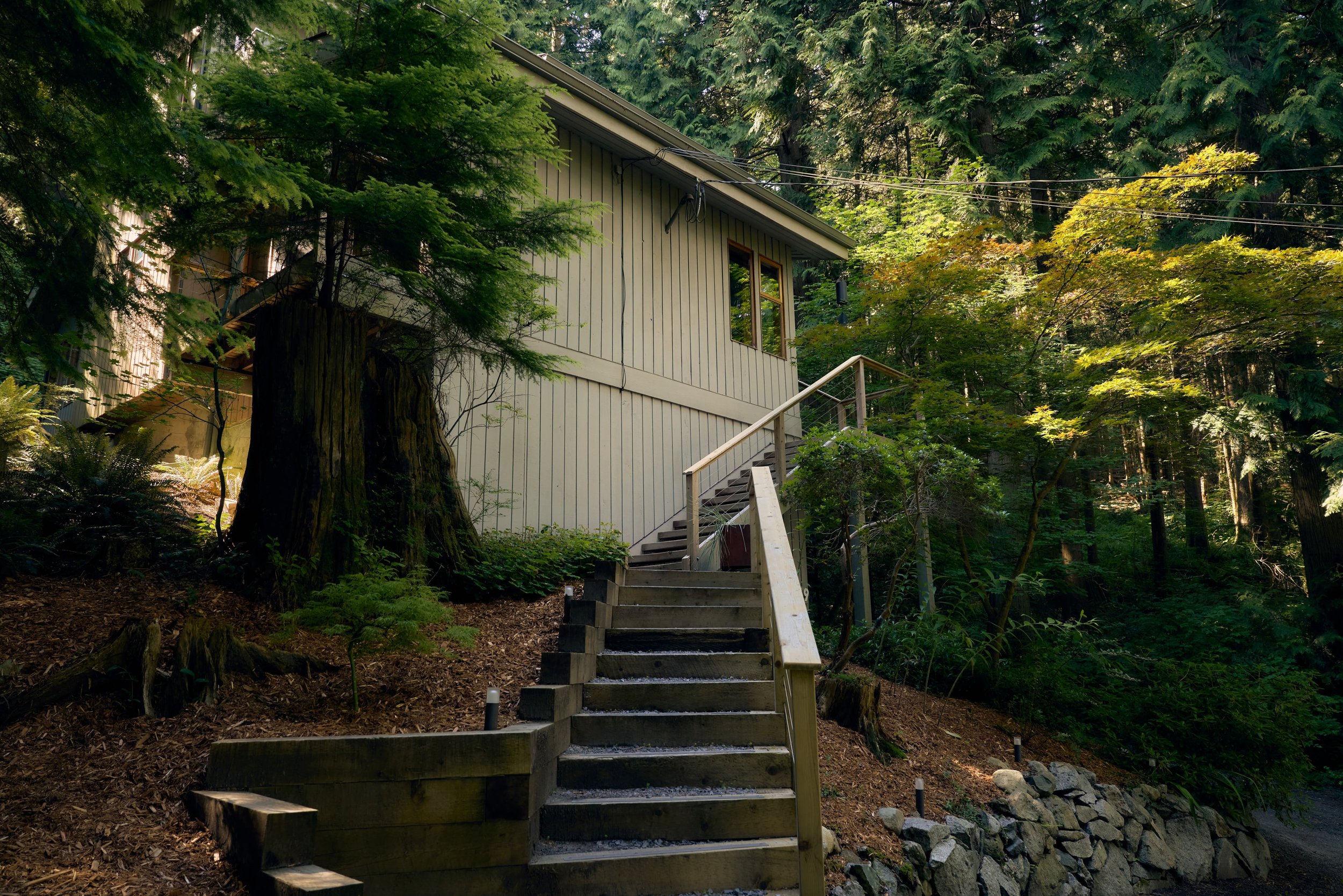 HiddenHouse8882 - Copy.jpg