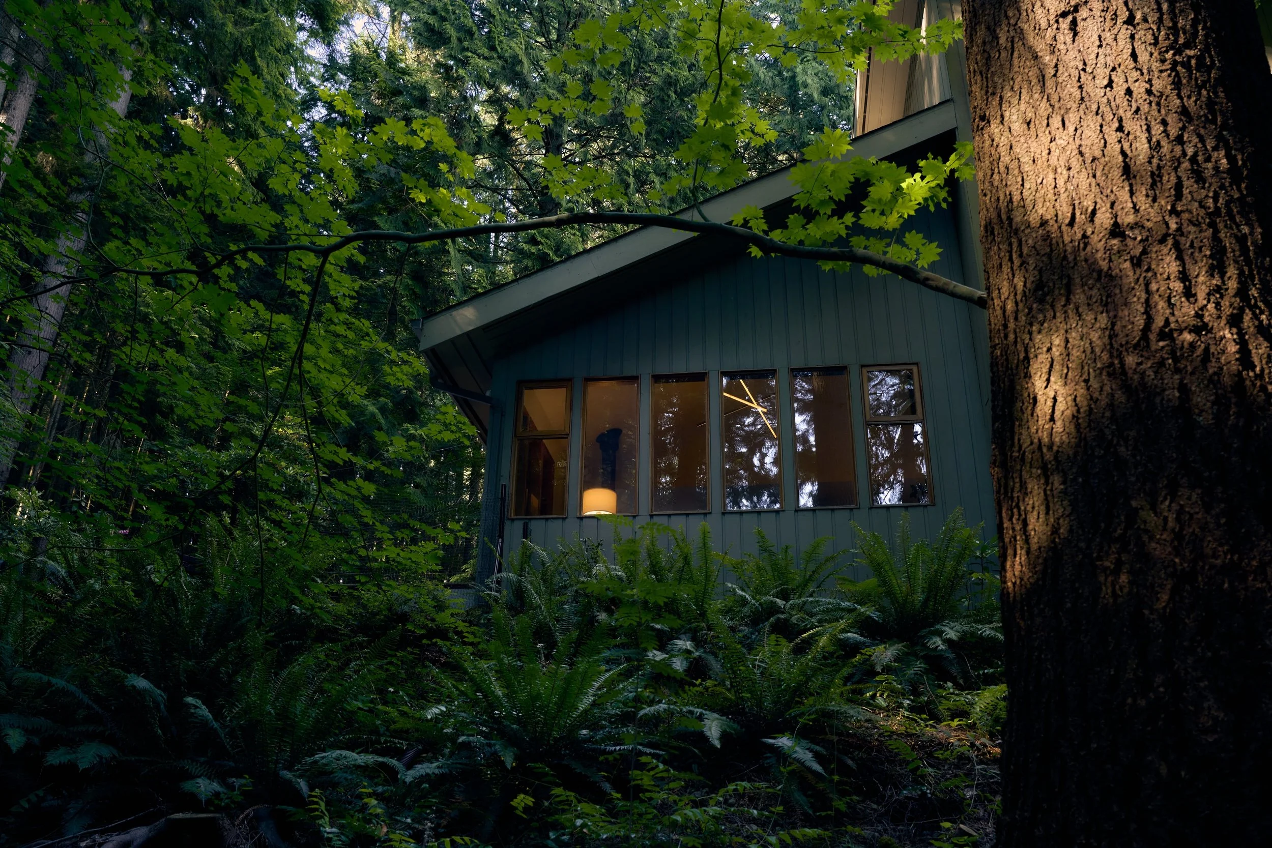 HiddenHouse8945 - Copy.jpg