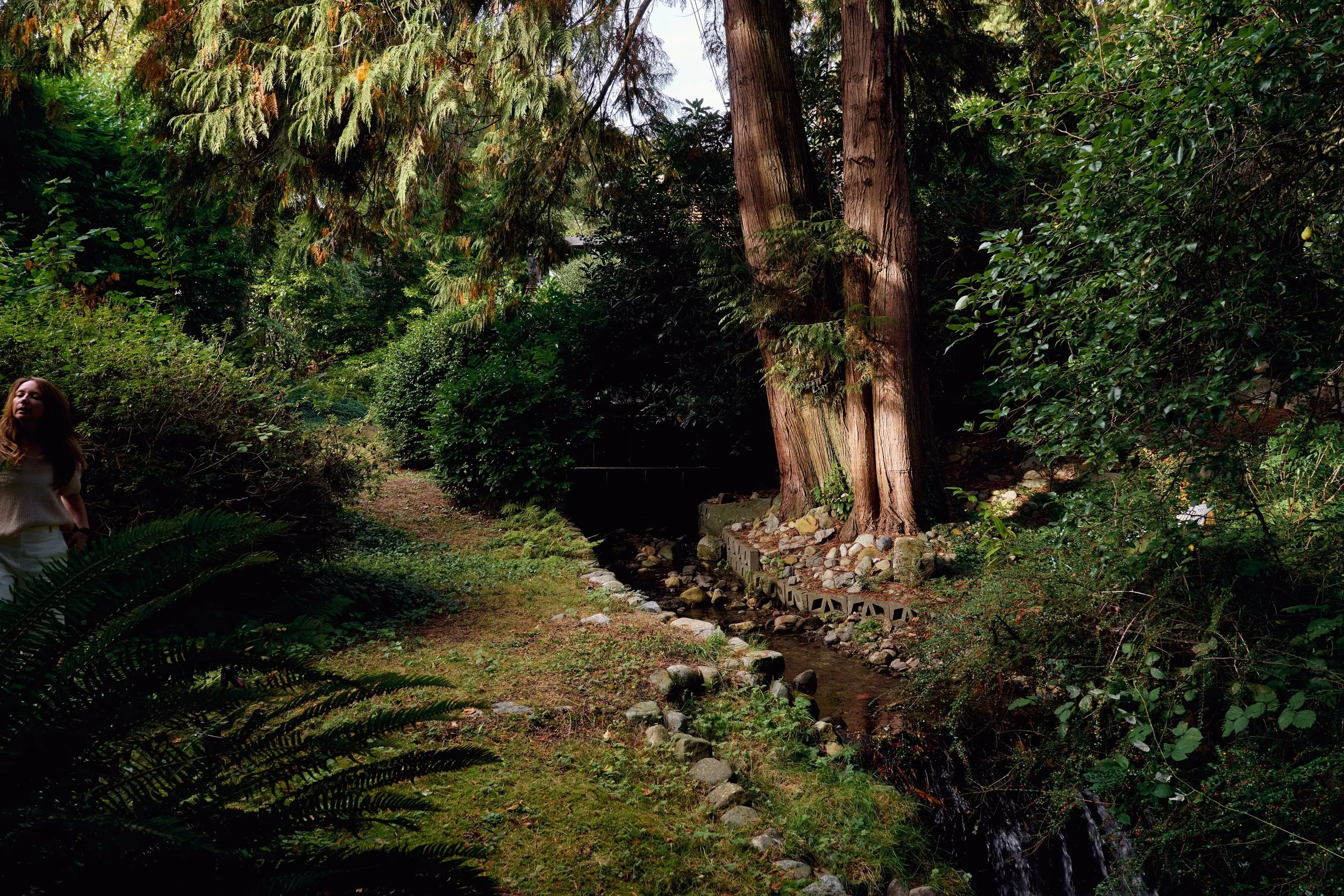 DSC07646.jpg